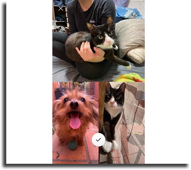 add pictures How to post multiple photos in Stories