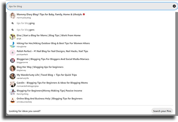 search optimize pins on pinterest