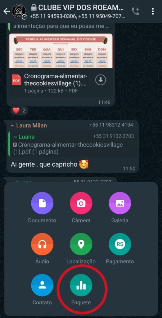 enquete-whatsapp