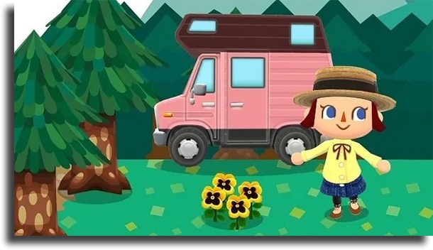 Animal Crossing: Pocket Camp 
