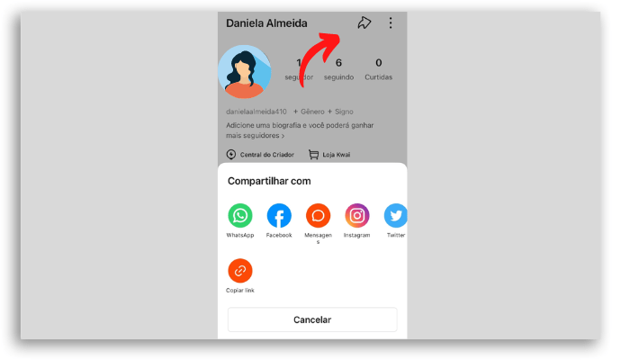 Compartilhamento do perfil