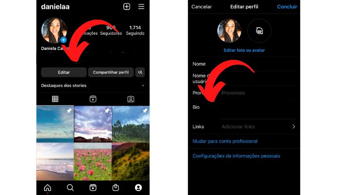 Como colocar os pronomes manualmente na Bio do Instagram