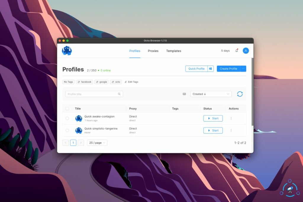 Octo Browser