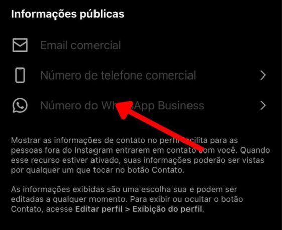 Número do WhatsApp Business