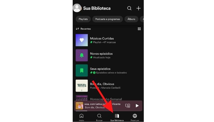 Conferindo as músicas salvas na biblioteca do Spotify