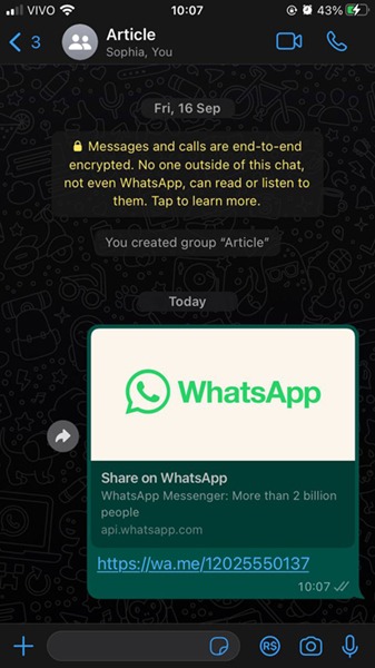 direct whatsapp link 