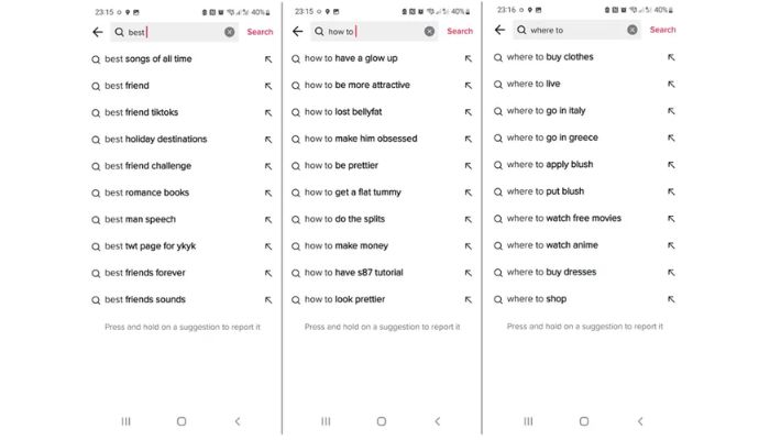 tiktok search