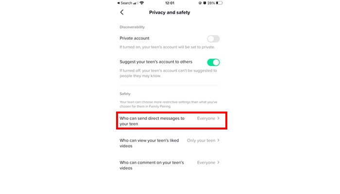 limit chat TikTok and pornography