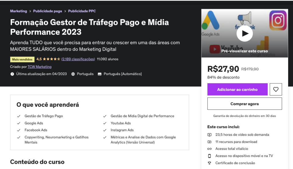 curos gestor de trafego