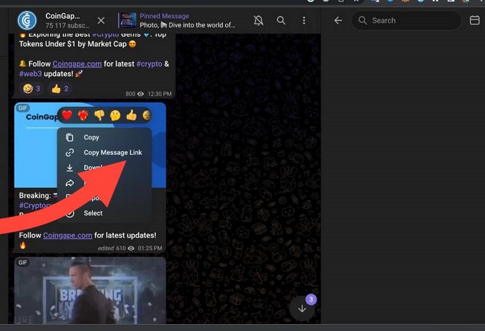 Baixar videos Telegram 16