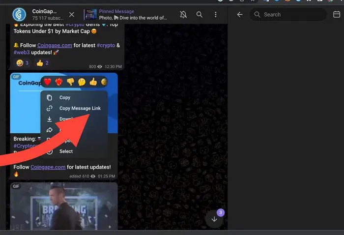 Download Telegram Videos on PC 16