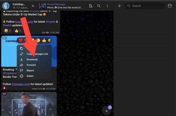 Baixar videos Telegram 20
