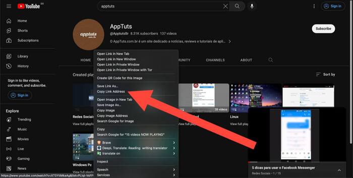 16 Como funciona o 4kDownload