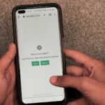 AI chatbots cover