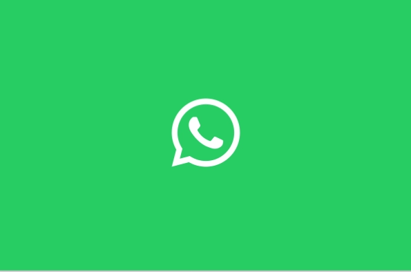Conversas WhatsApp